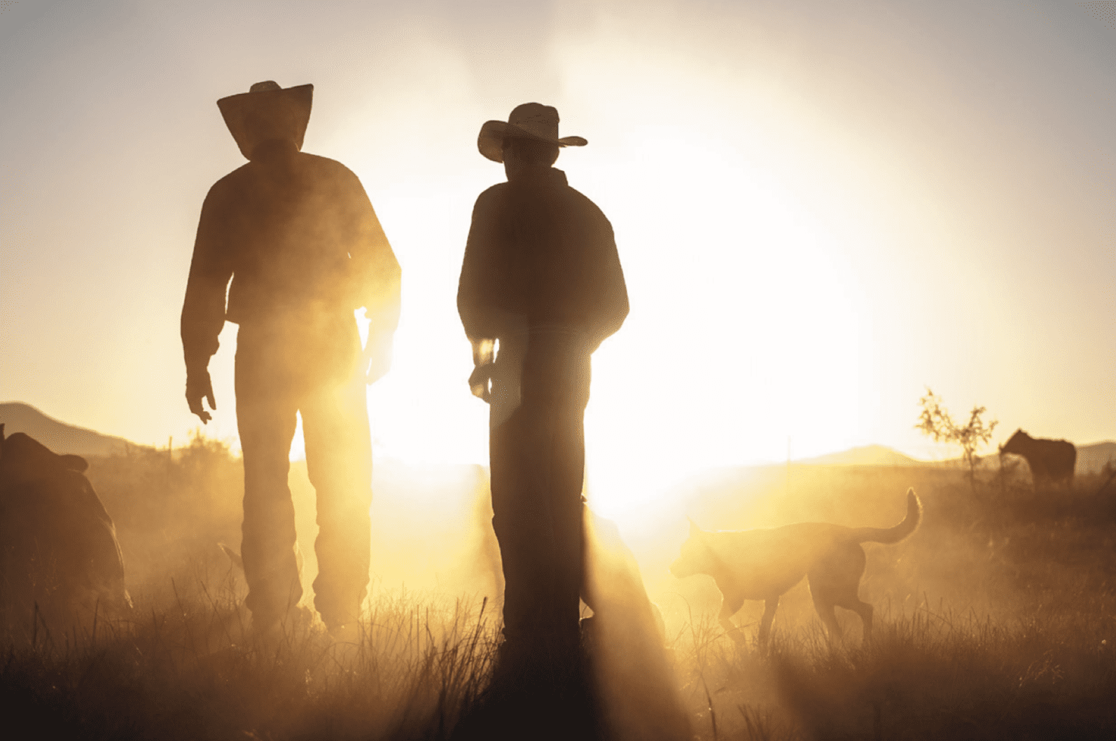Images sought for local ag photography contest