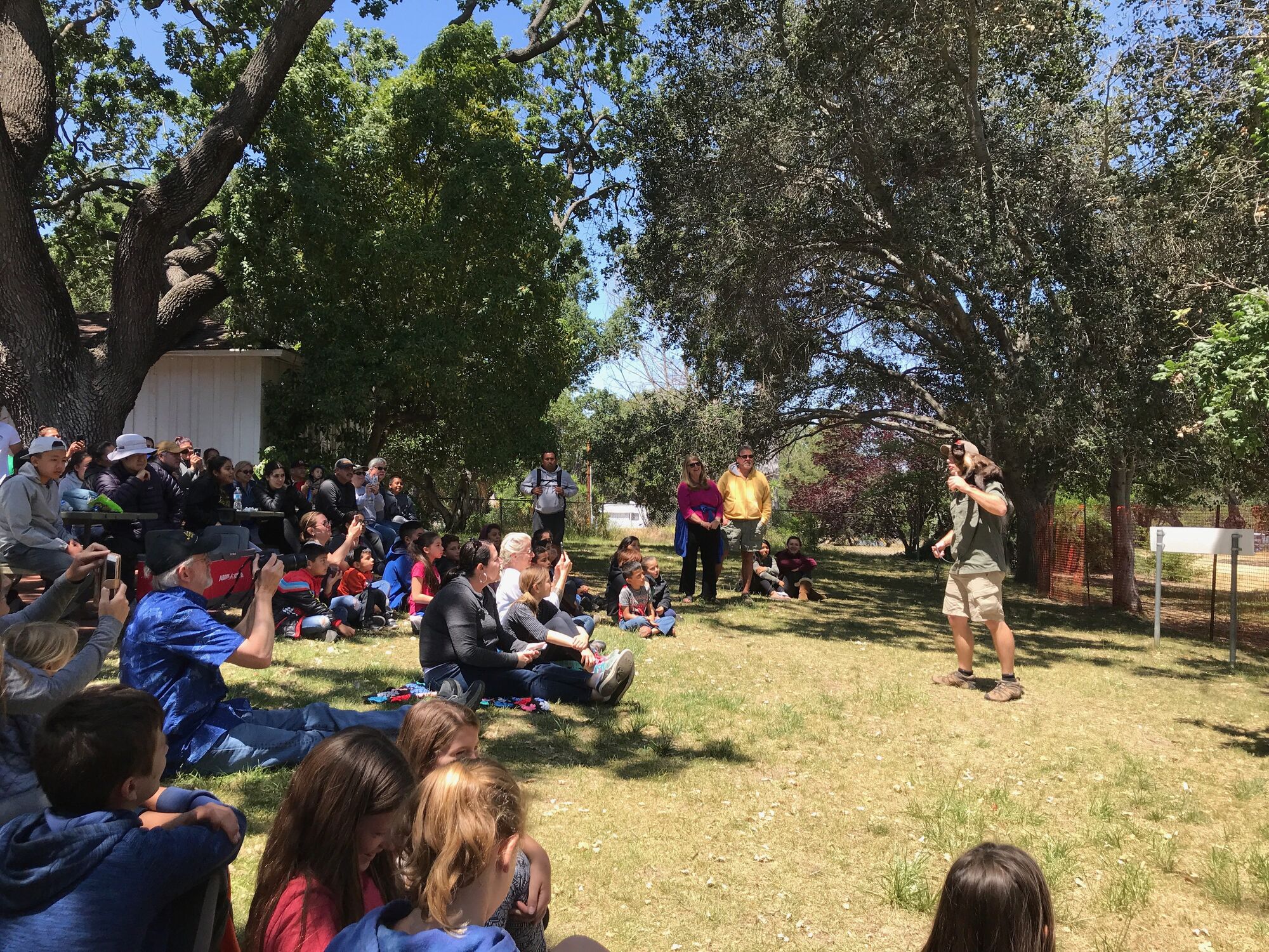 A spider, a monkey and a foot-tall frog