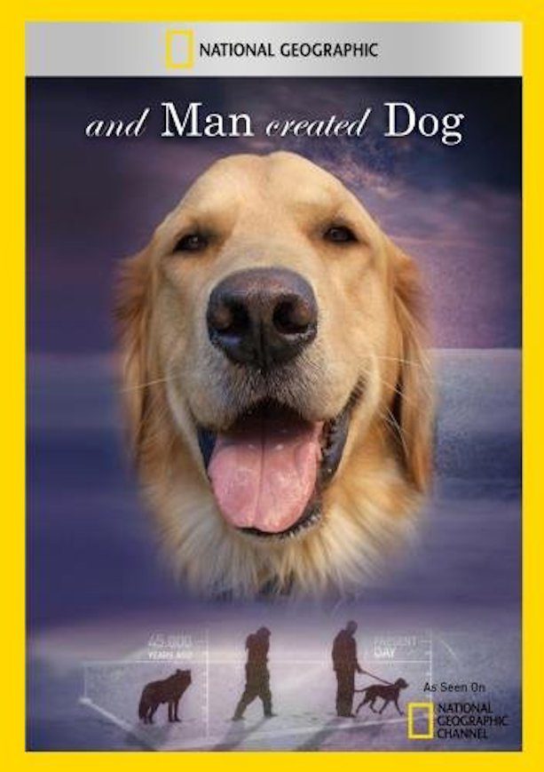 Local artist’s film to be shown at first fundraiser