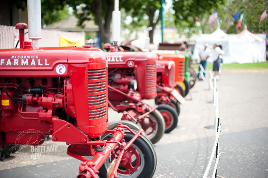 County Fair opens July 11 for 5 days of fun