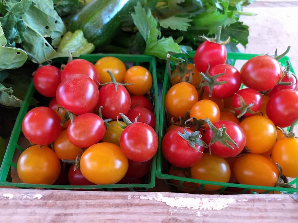 Summer is the season for fresh food
