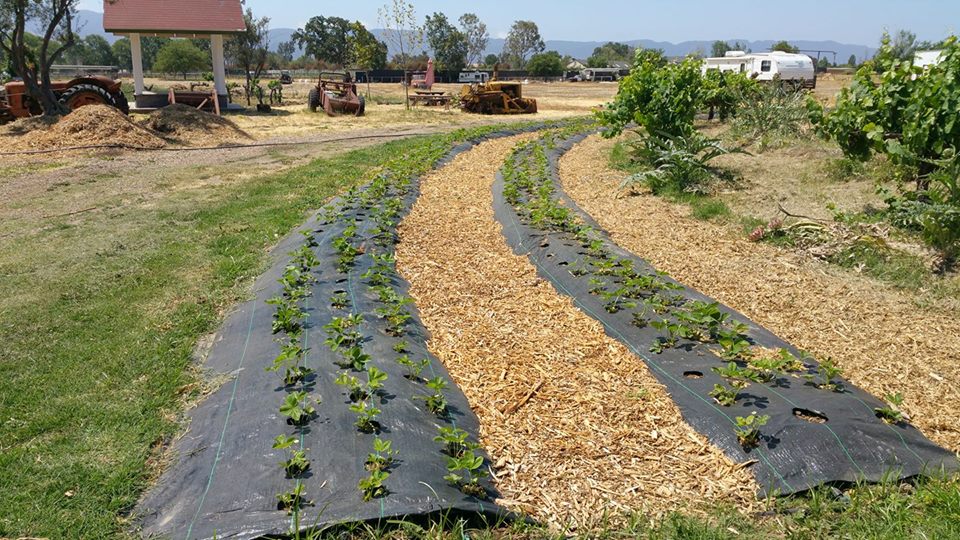 Farmers, ranchers playing crucial role in combatting hunger