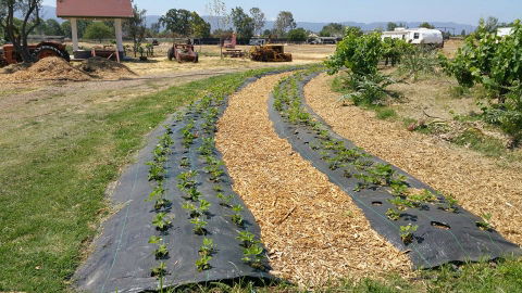 Farmers, ranchers playing crucial role in combatting hunger