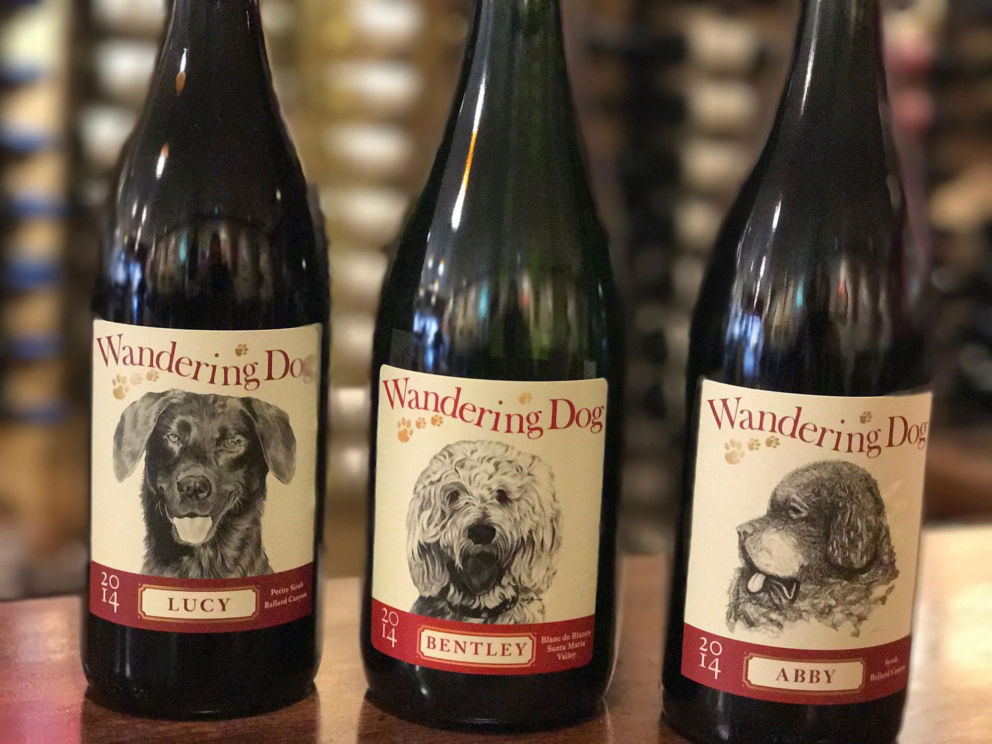 Enterprising couple behind success at Wandering Dog