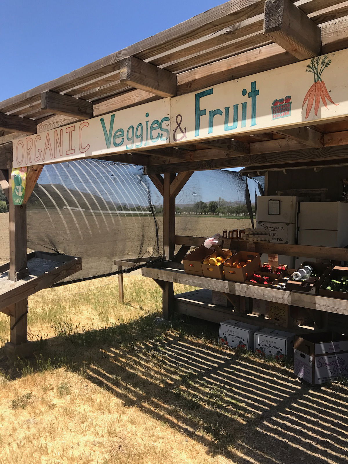 Summer is intense time in farm stand’s cycle