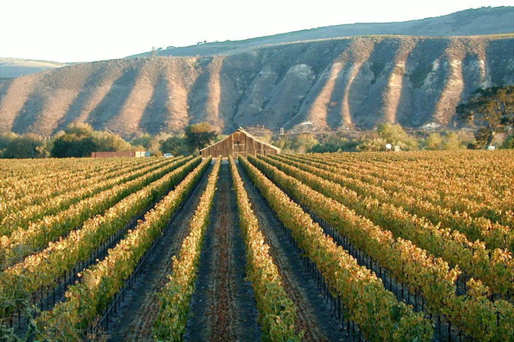EconAlliance puts focus on ‘Growing Possibilities’ for ag industry