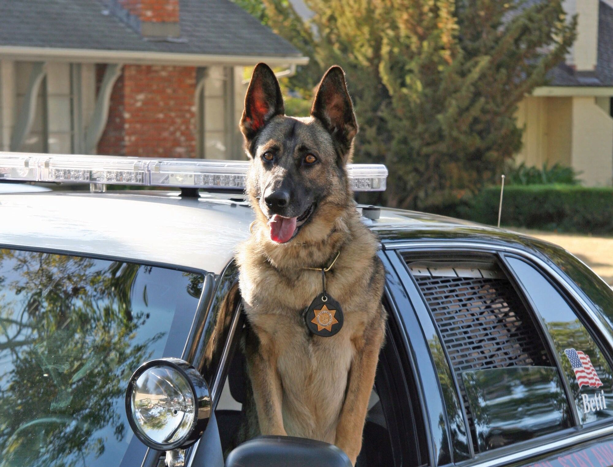 Retired sheriff’s K-9 officer dies in retirement