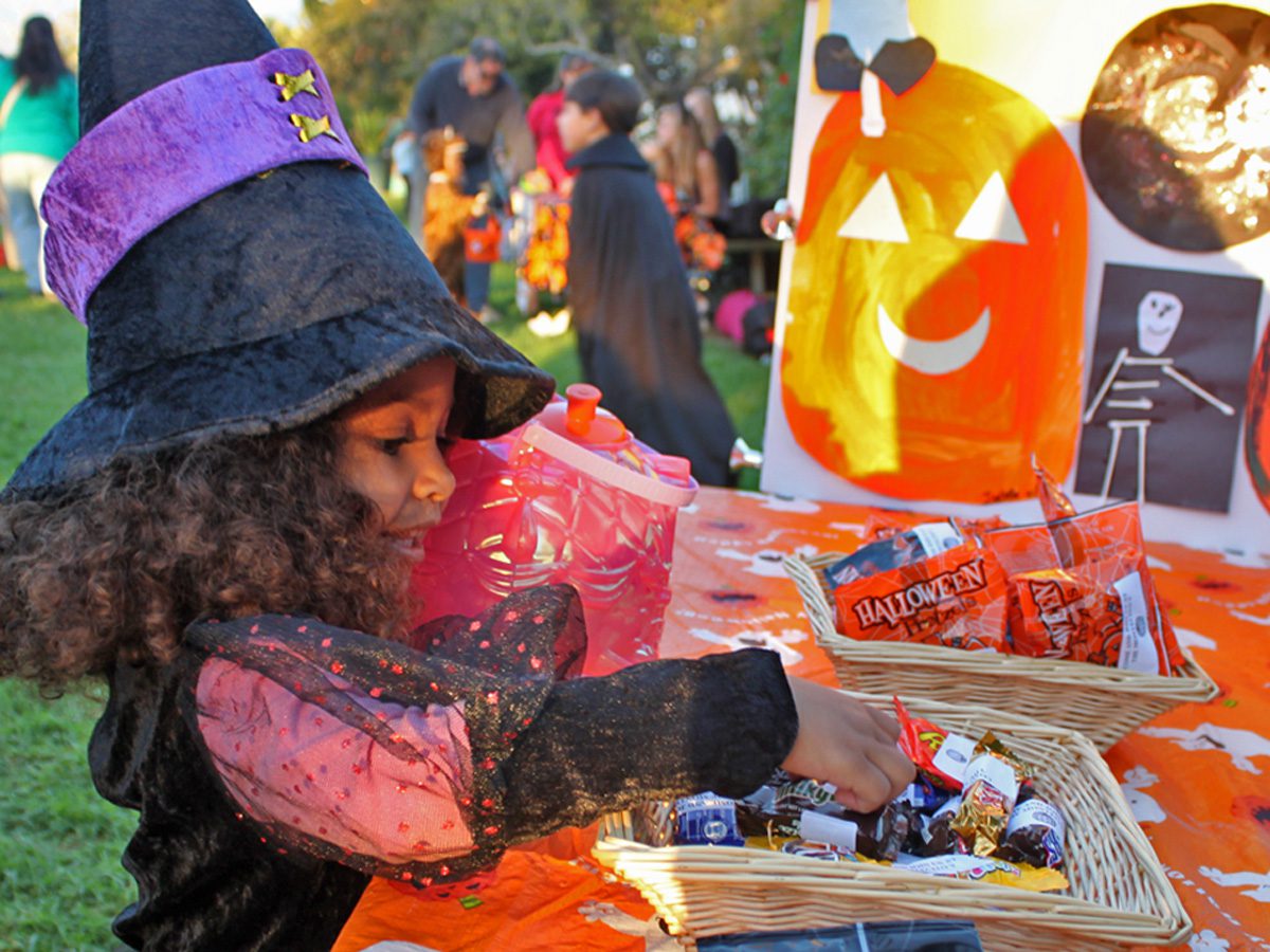 ‘Boo at the Zoo’ will be held Oct. 19 to 21