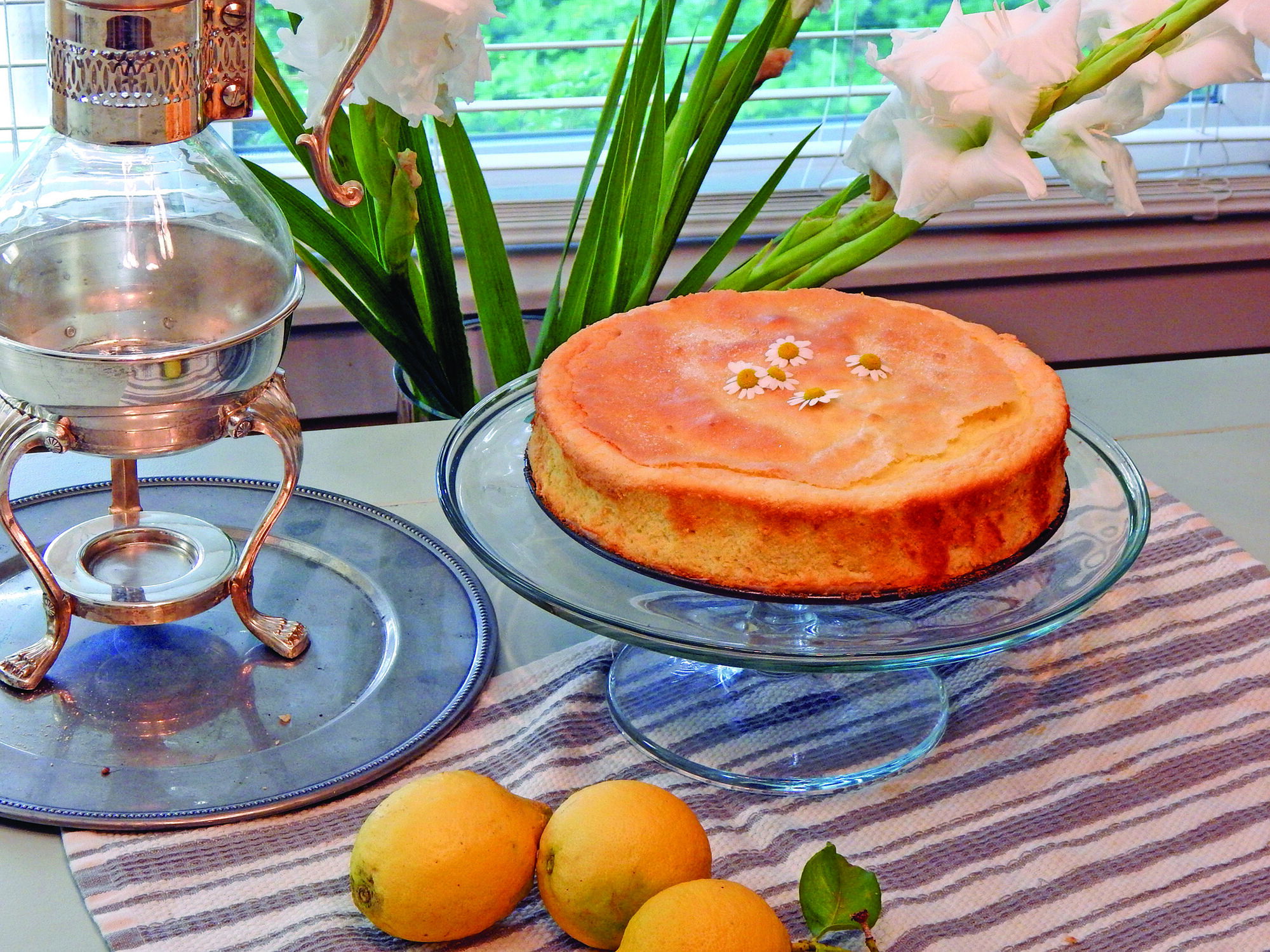 Olive Oil Cake doesn’t even need icing