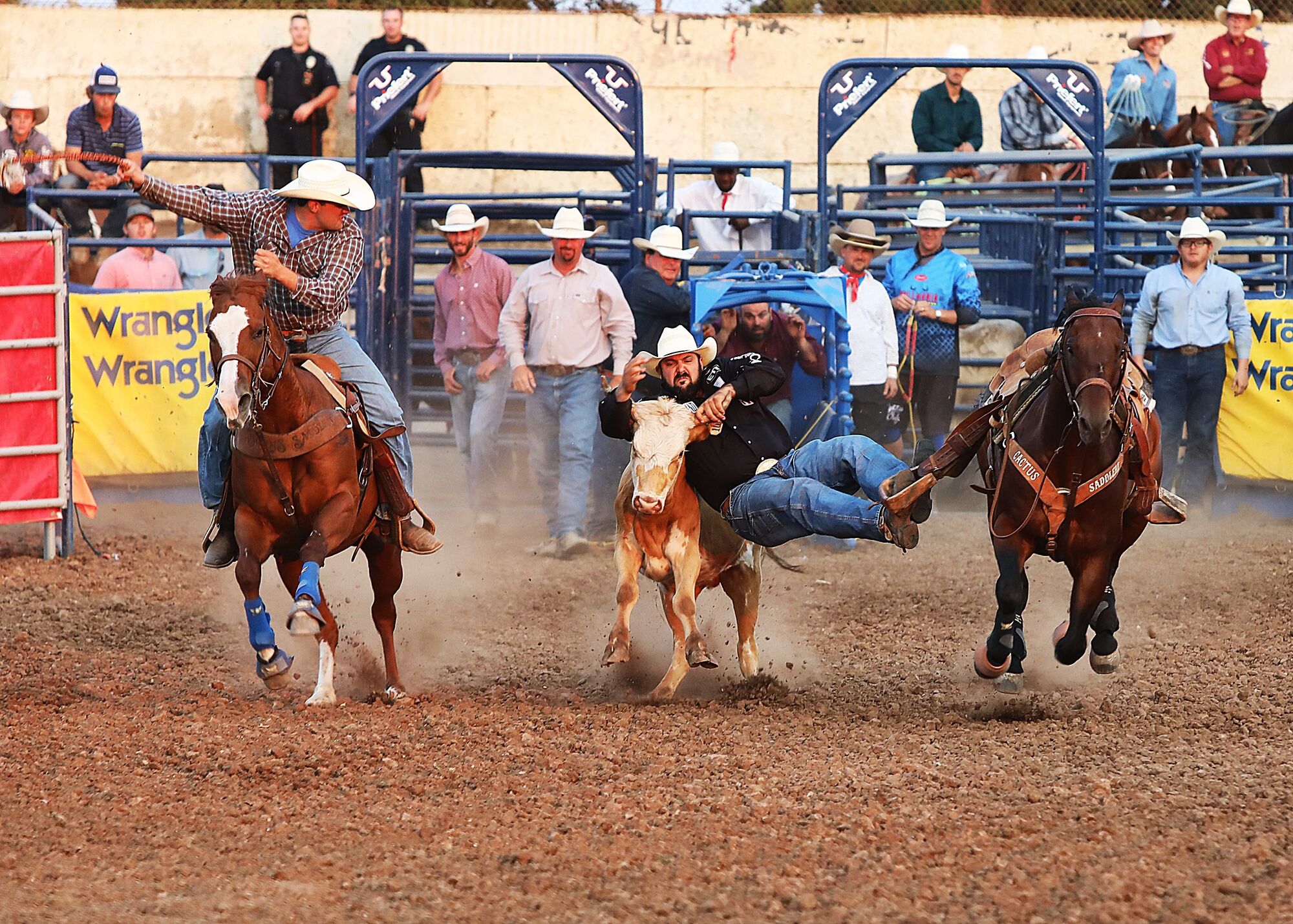 Steer wrestler Luke Branquinho sidelined with knee injury