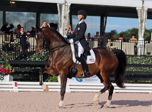 Dressage clinics teach riders, support youth education