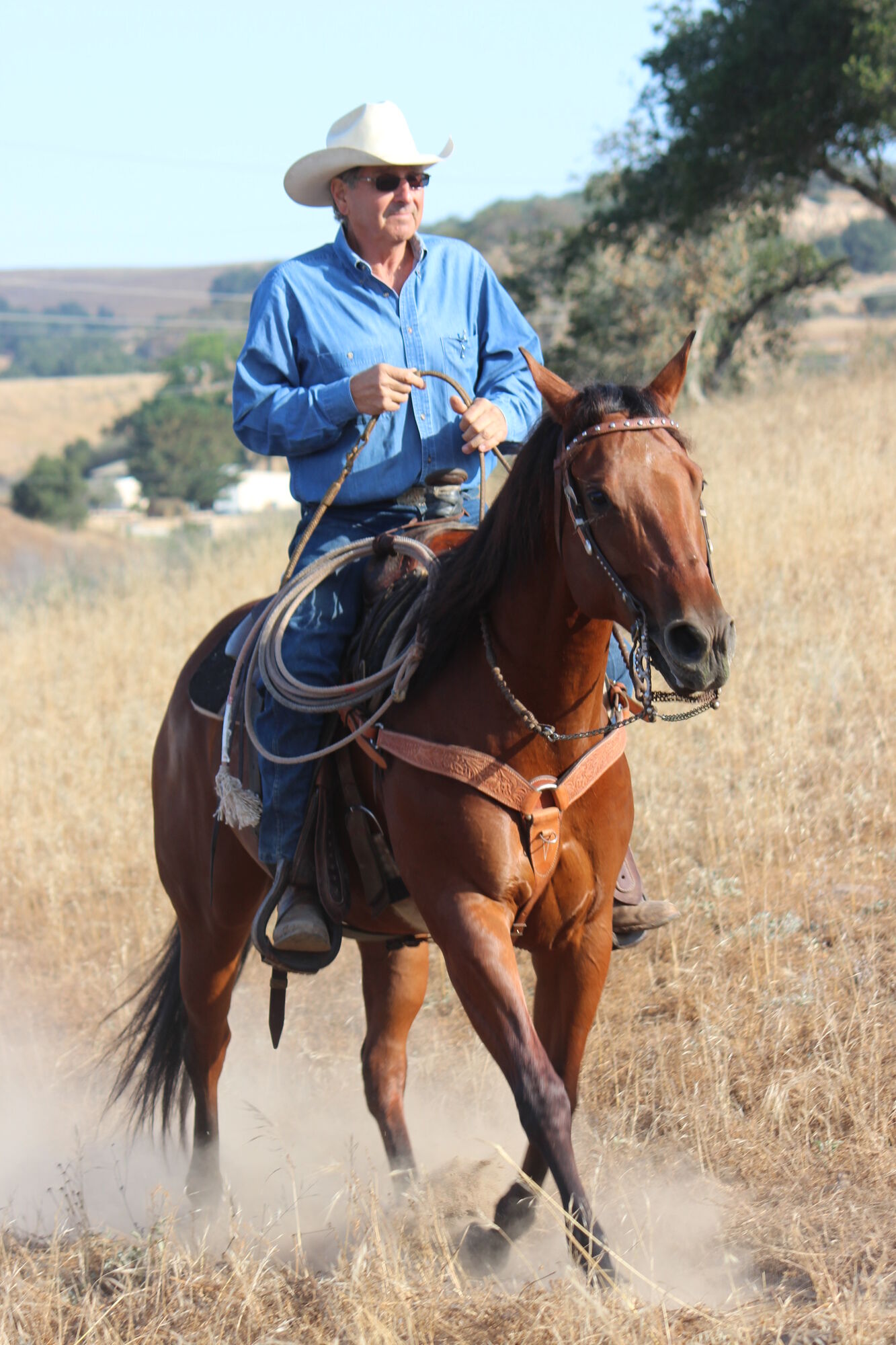 Vaquero Show to honor 4th-generation rancher