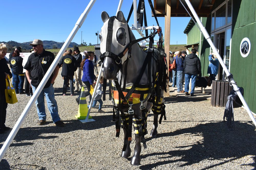 Event teaches large-animal owners about disaster preparation