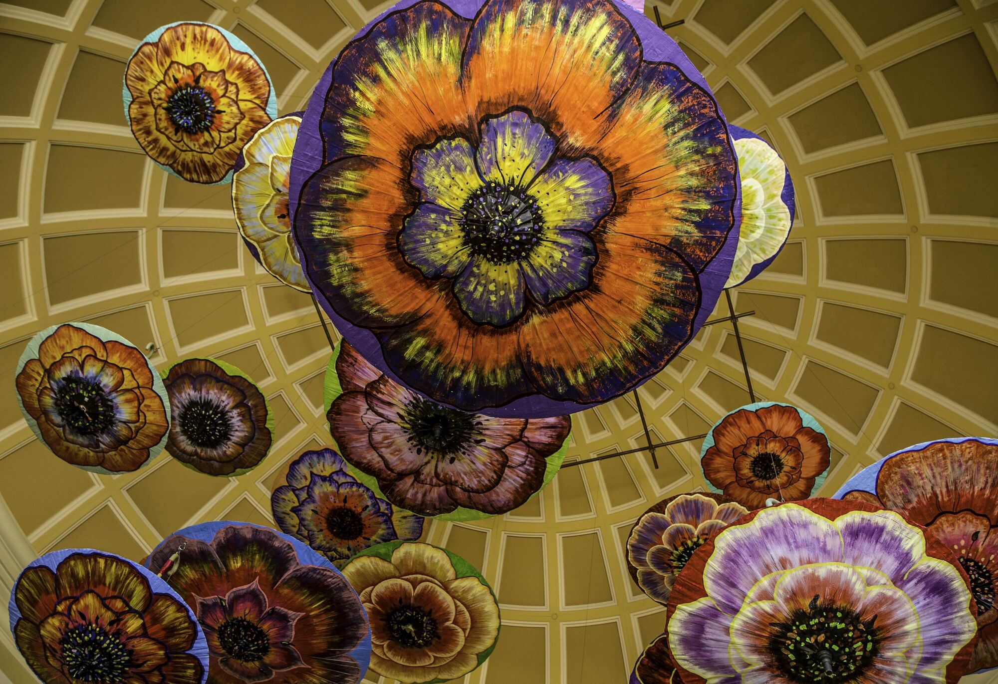 Photo exhibit displays the ‘Art of Travel’