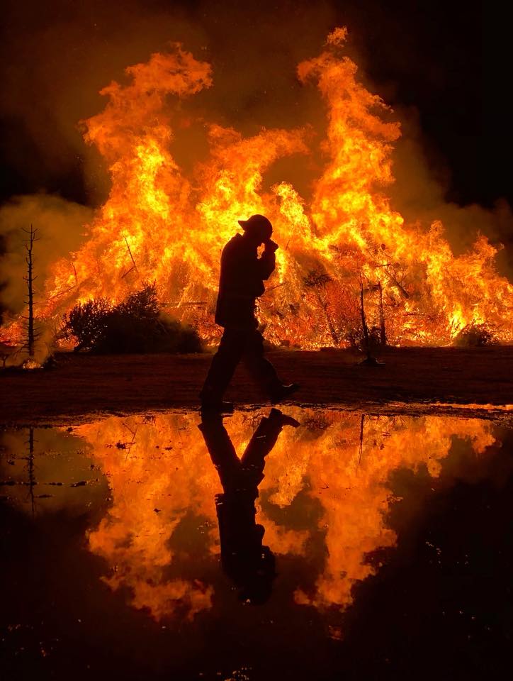 Annual Christmas tree burn slated for Jan. 7