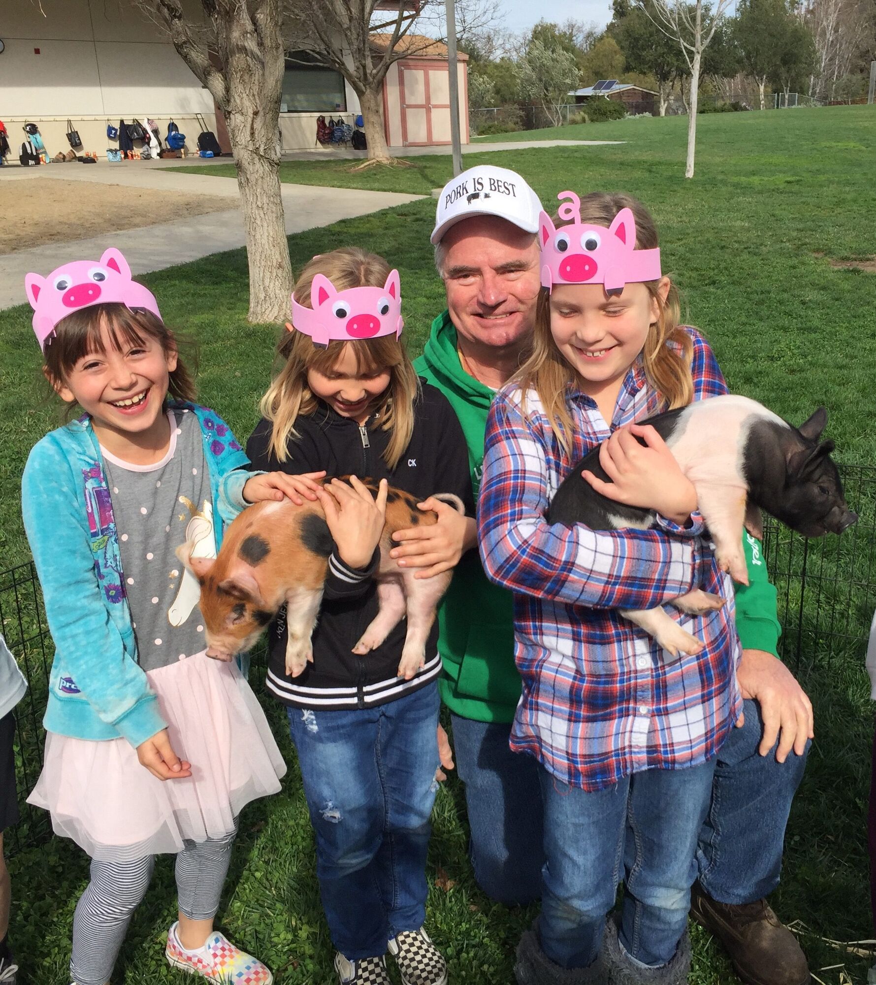 Pigs help kids celebrate Chinese New Year