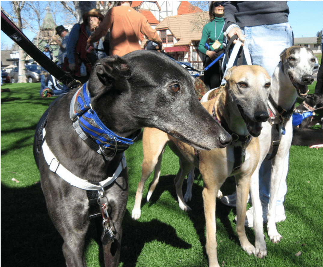 Events Calendar Feb. 19-March 4