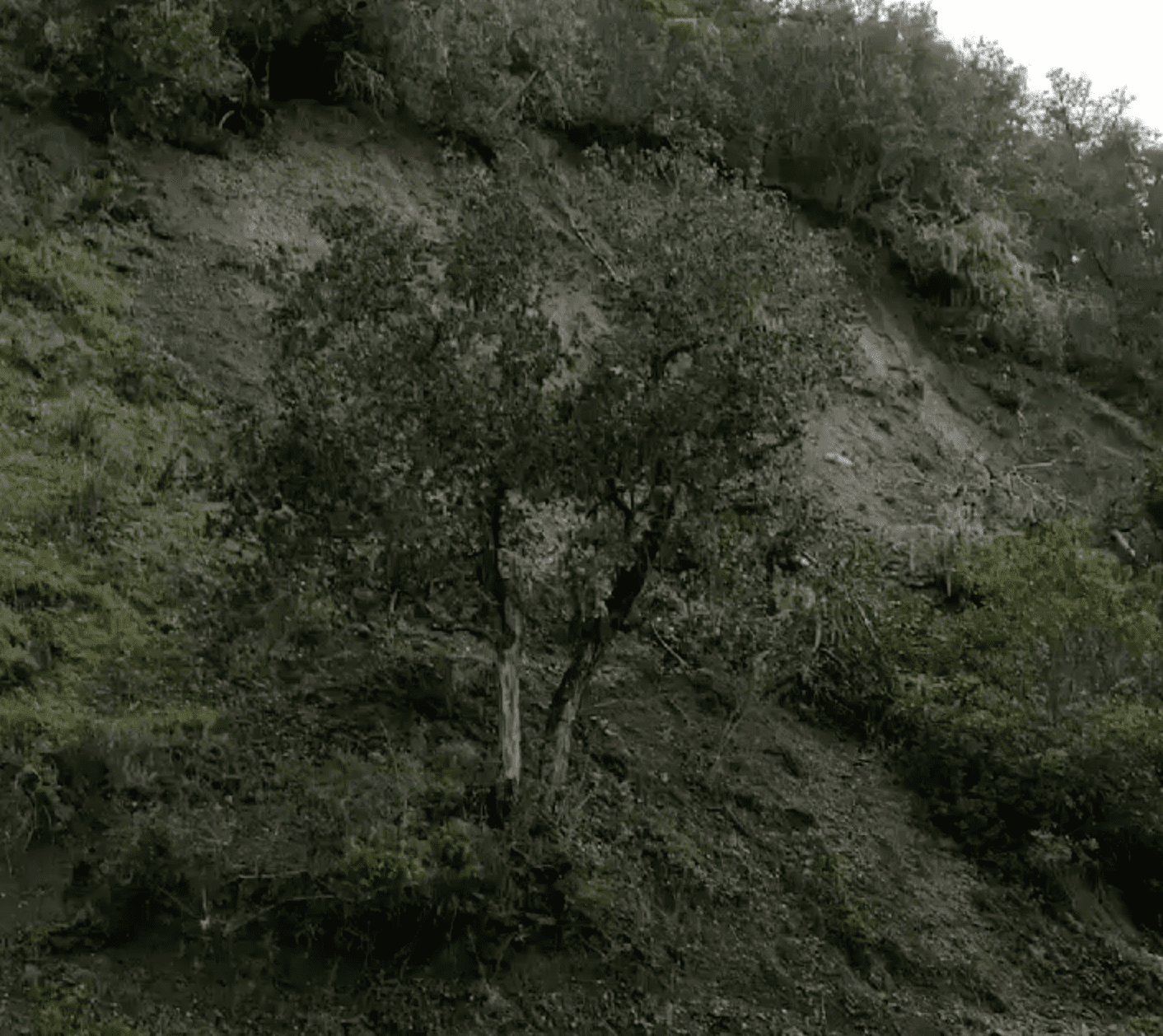 Wet weather causing hillside to come down on Old Coast Highway