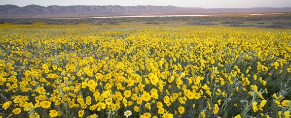 Events Calendar March 5-18
