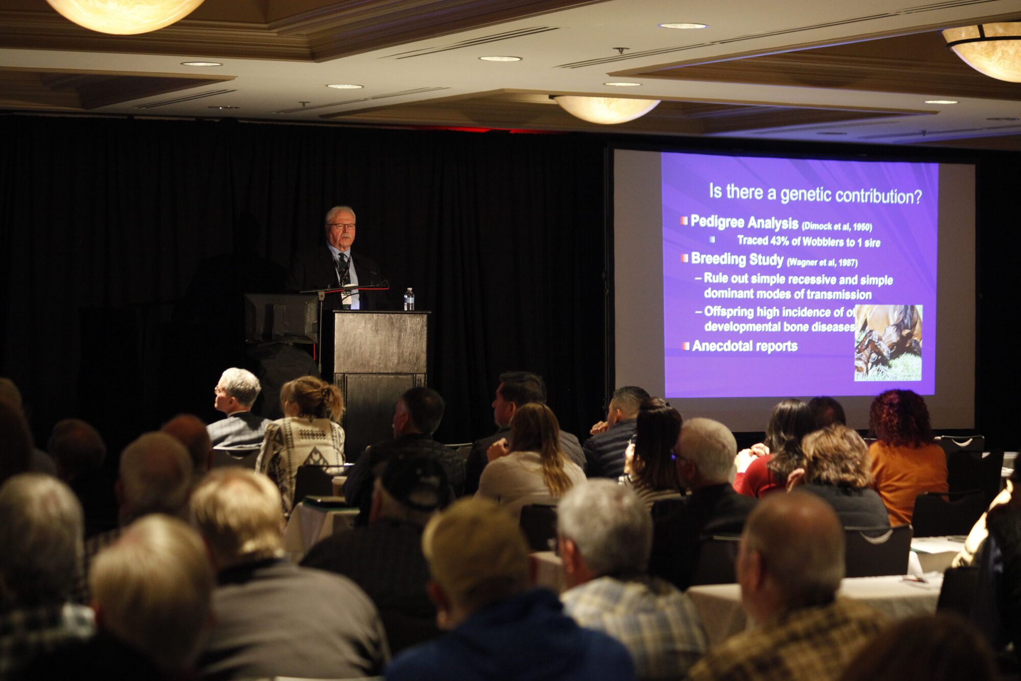 Equine symposium draws 175 experts for weekend talks