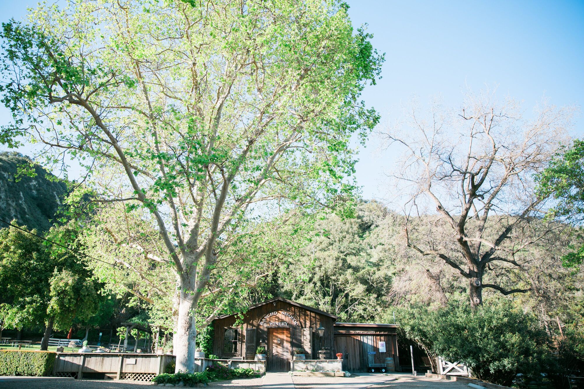 Annual Vintners Festival returns to Rancho Sisquoc