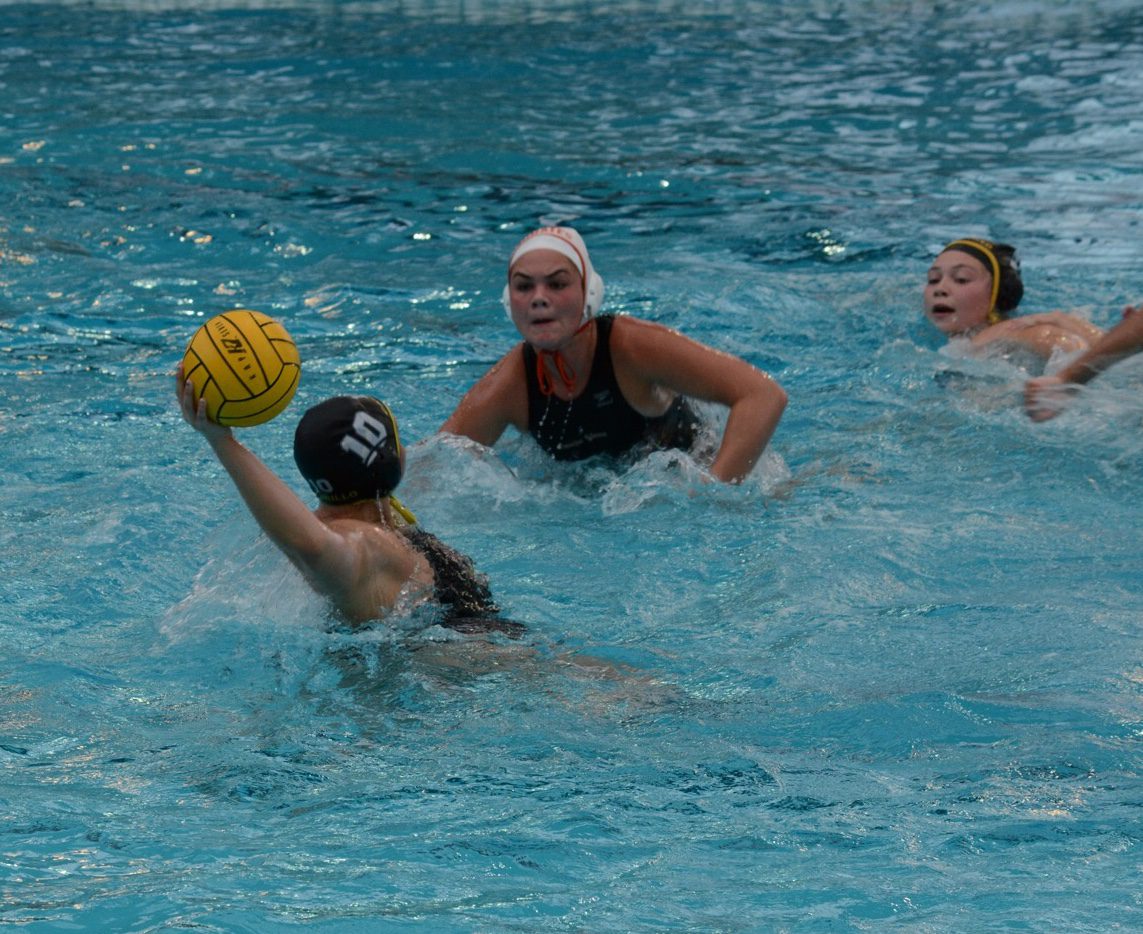 Pirates finish winter seasons with many all-league selections