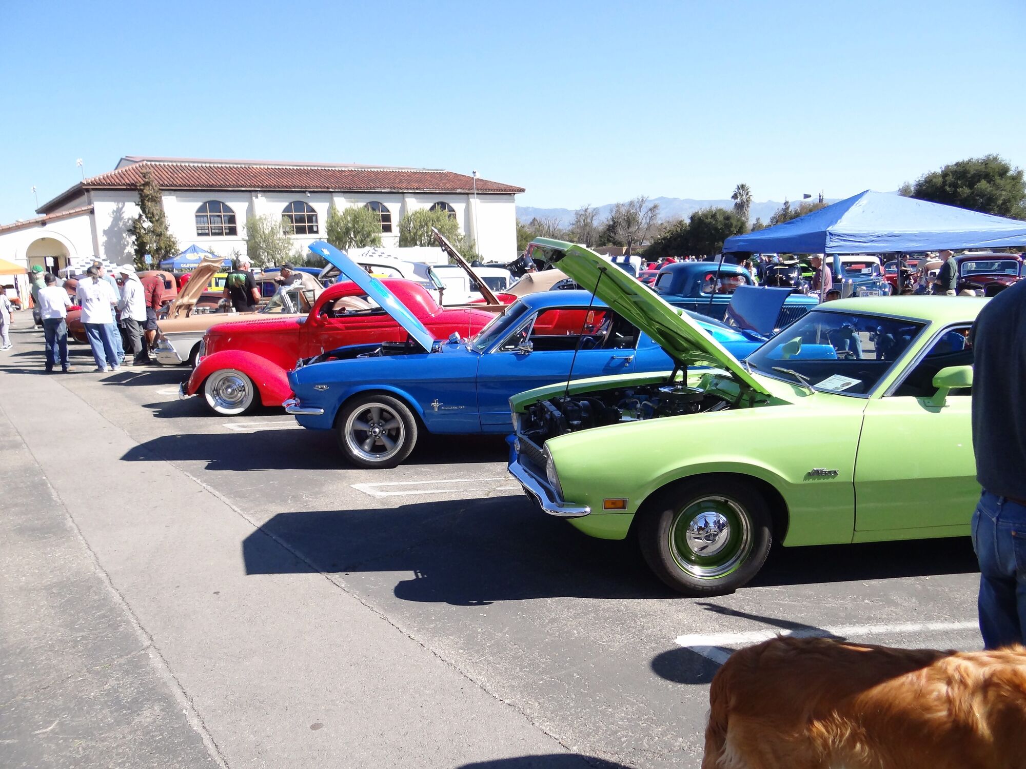 pirate car show