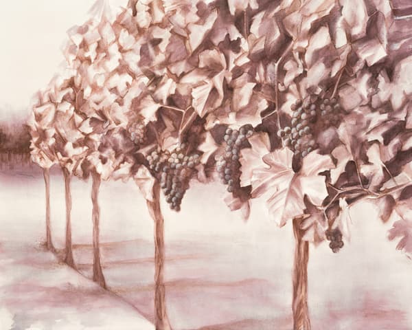 New artisan group to host ‘Meet the Makers’ of Los Olivos