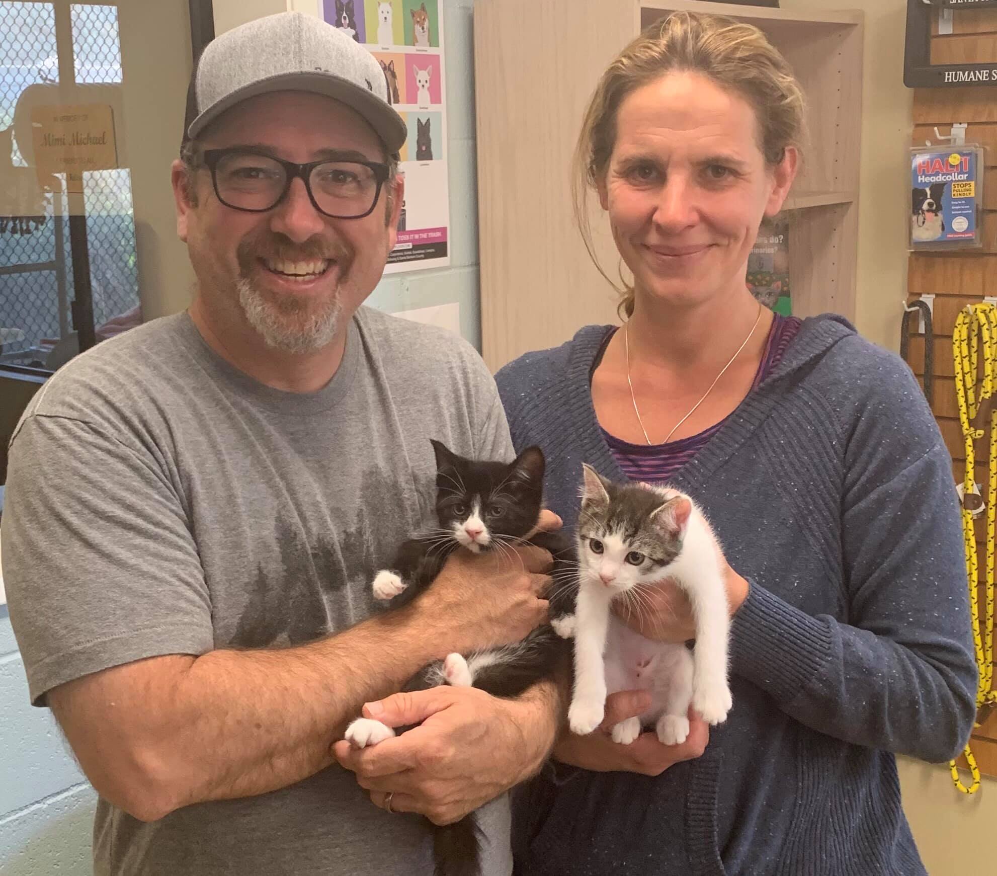 Give a Furry Feline a Forever Home