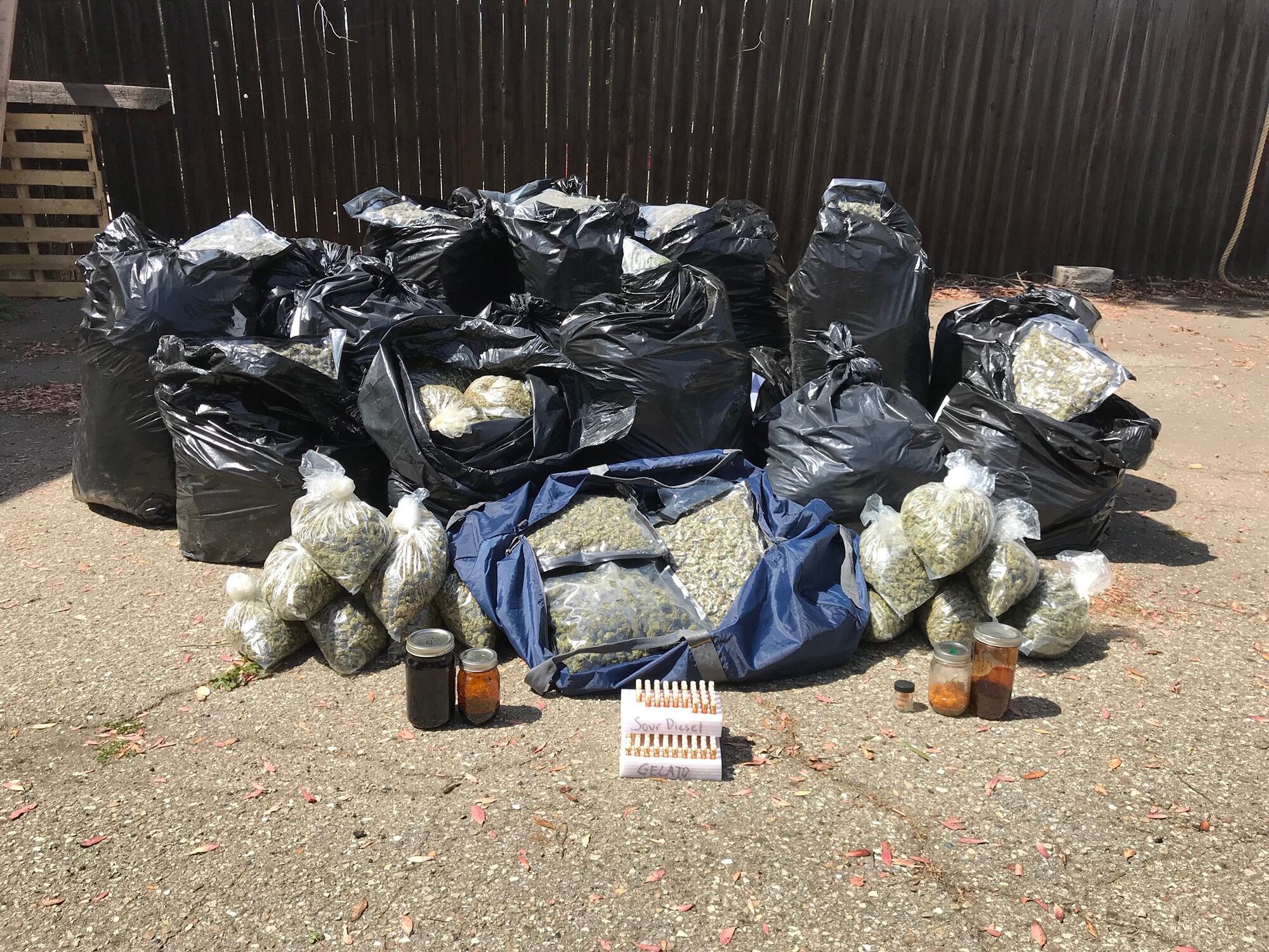 Illegal cannabis processing located in Los Olivos