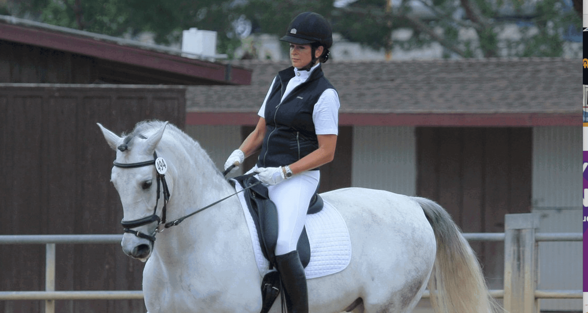 Horses and humans: Life coaching reinvented
