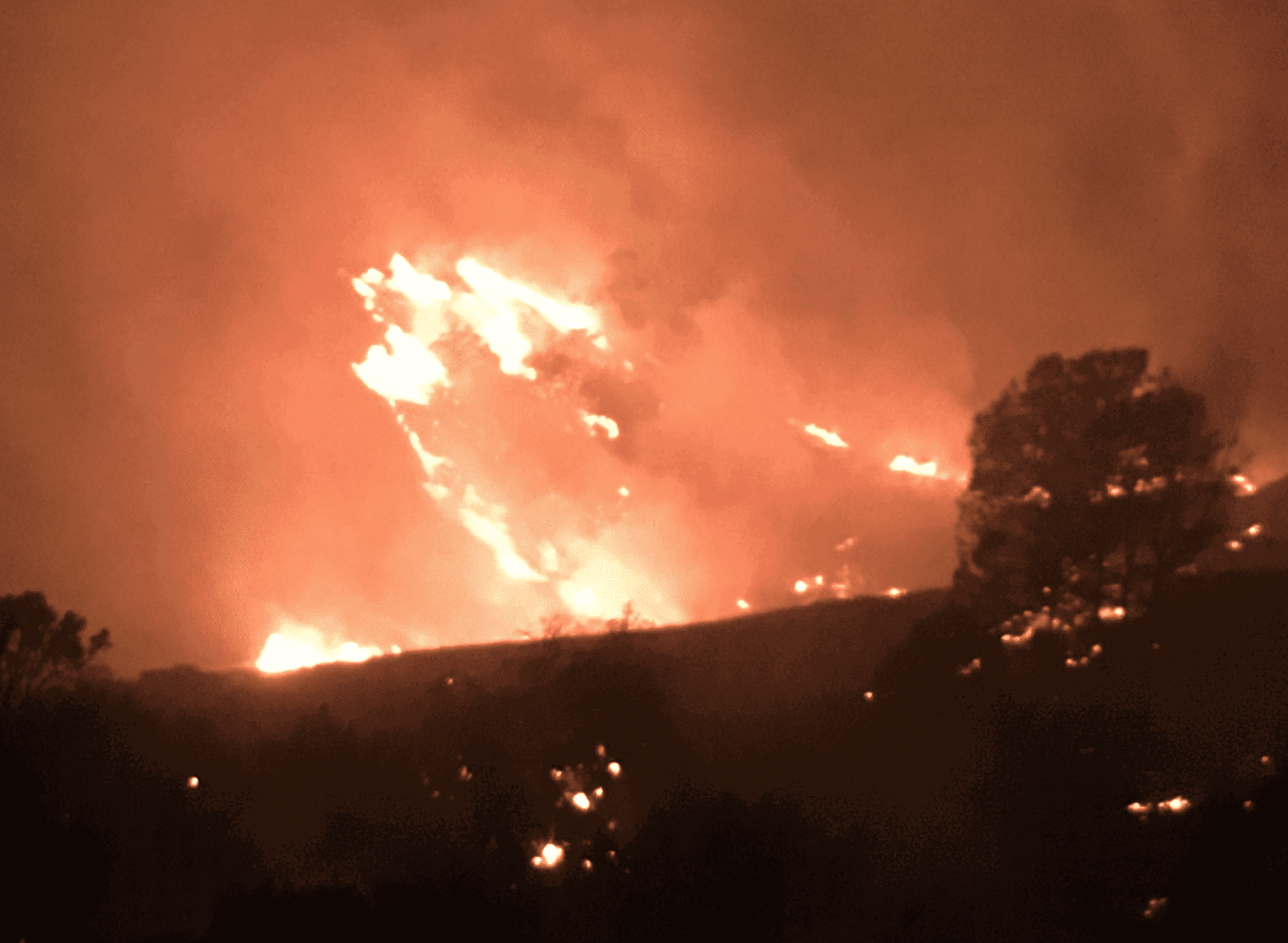 Crews Doing Restoration Work After Vegetation Fire Off Happy Canyon Road