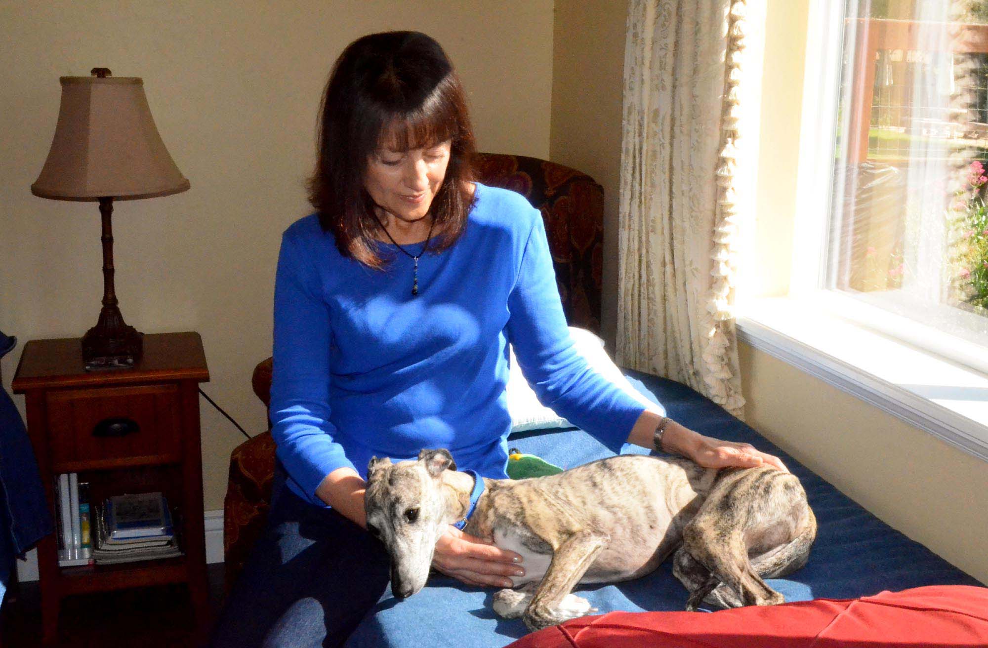 Acupressure can improve health for humans and animals