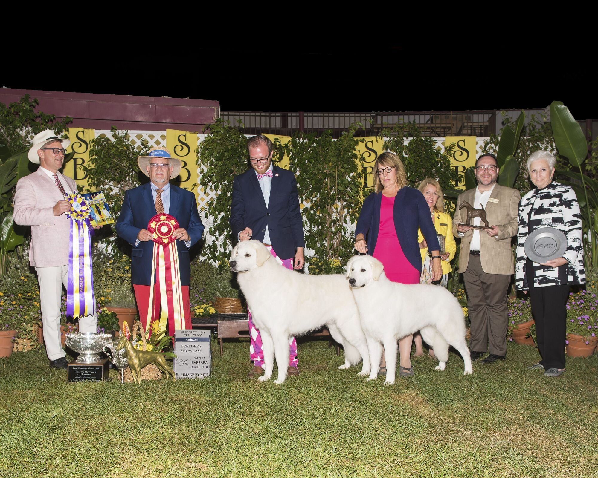 Dog shows to mark SB Kennel Club’s 100th year