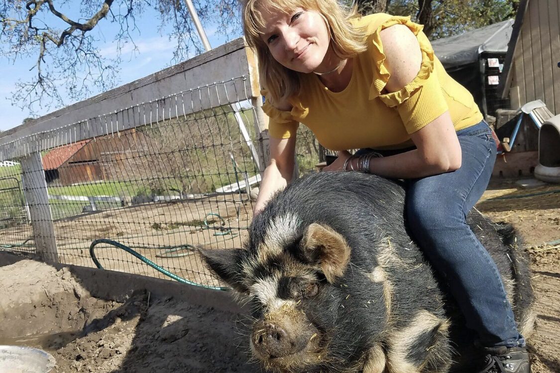 Lil’ Orphan Hammies offers safe haven for potbellied pigs