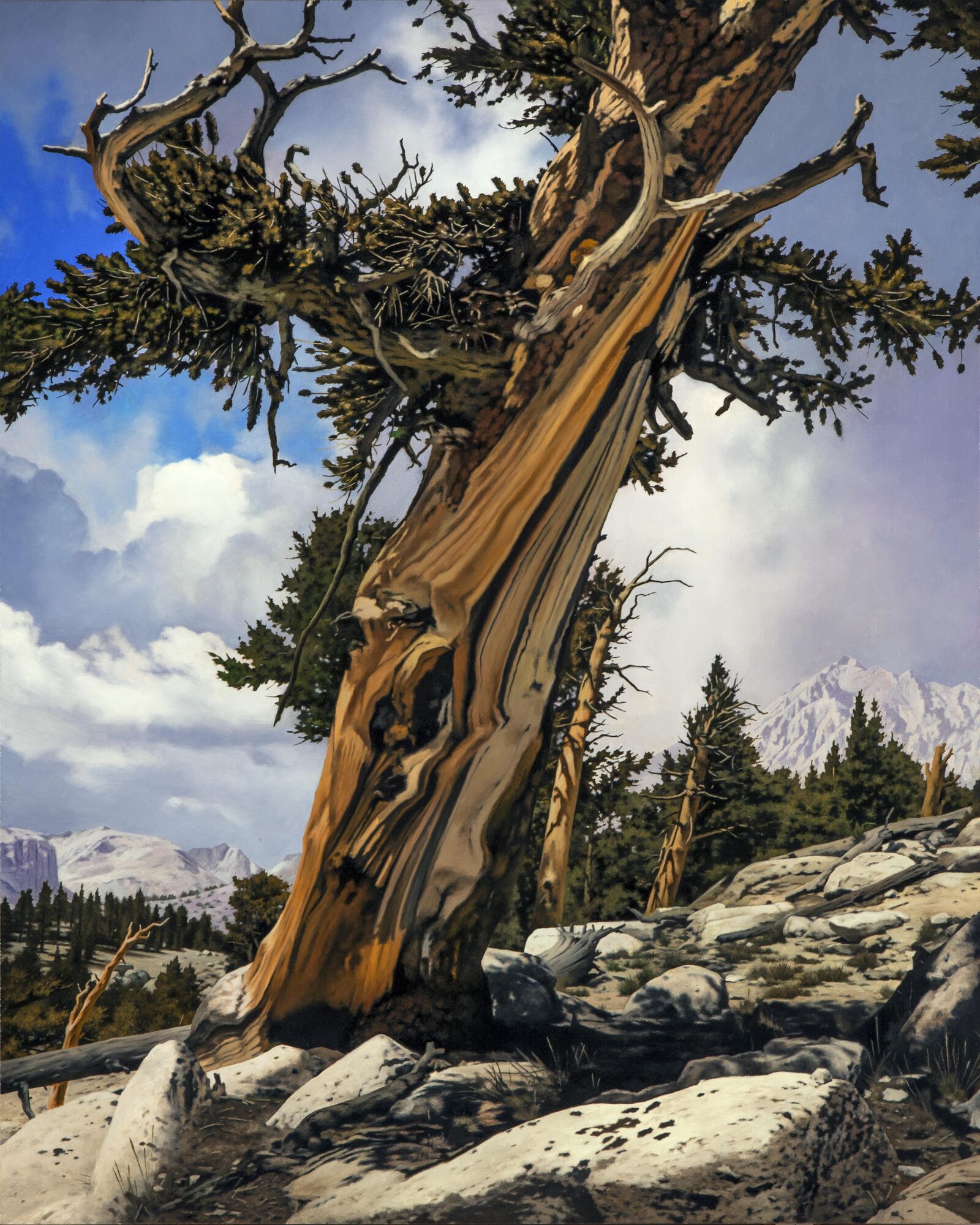 Wildling Museum selects winning artists in juried exhibition