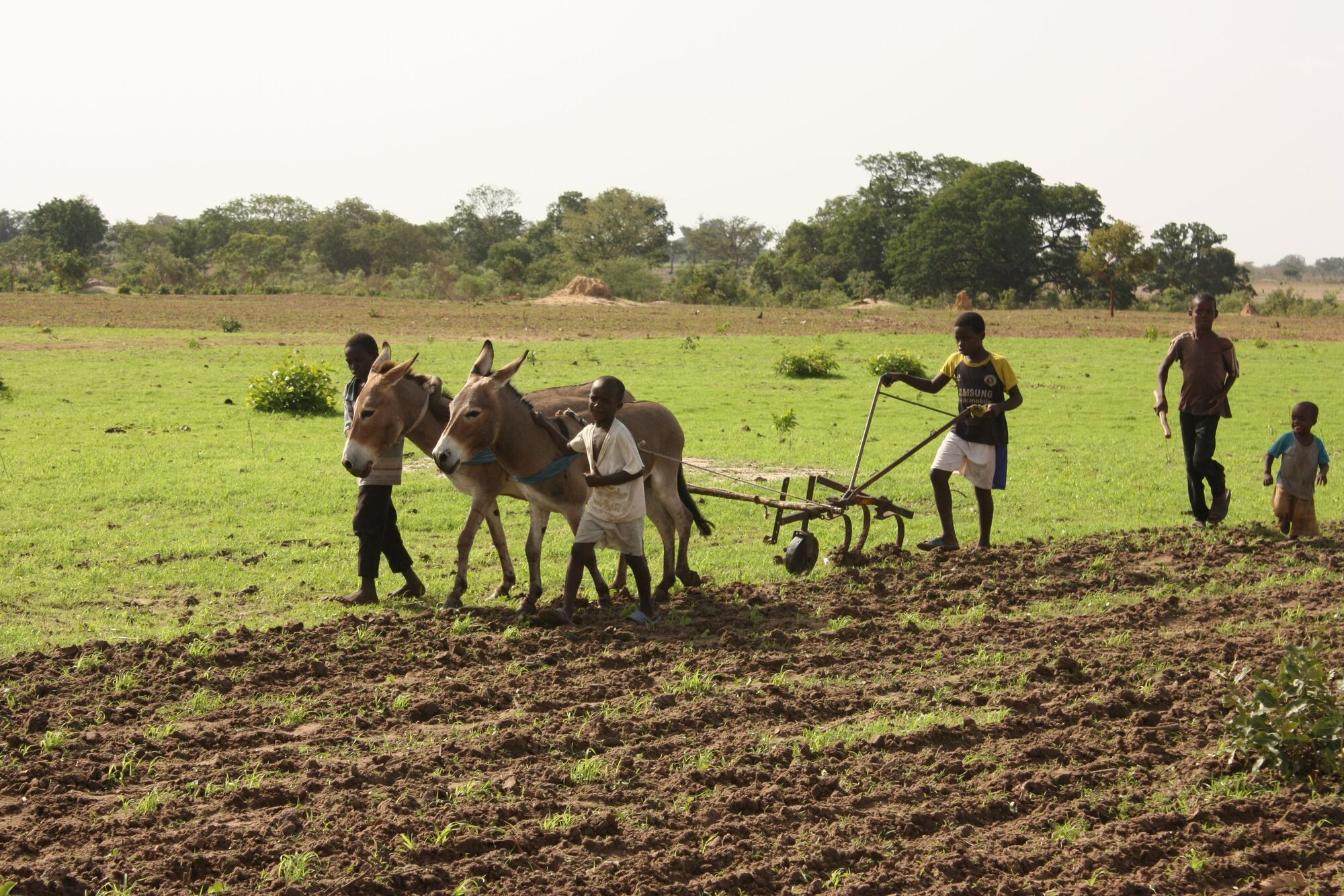 Barnabas Project changes lives through farming