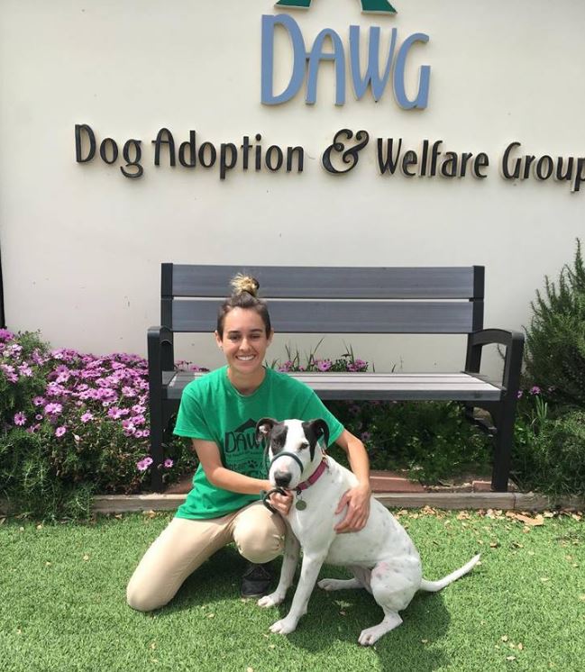 SY Humane Society to merge with DAWG