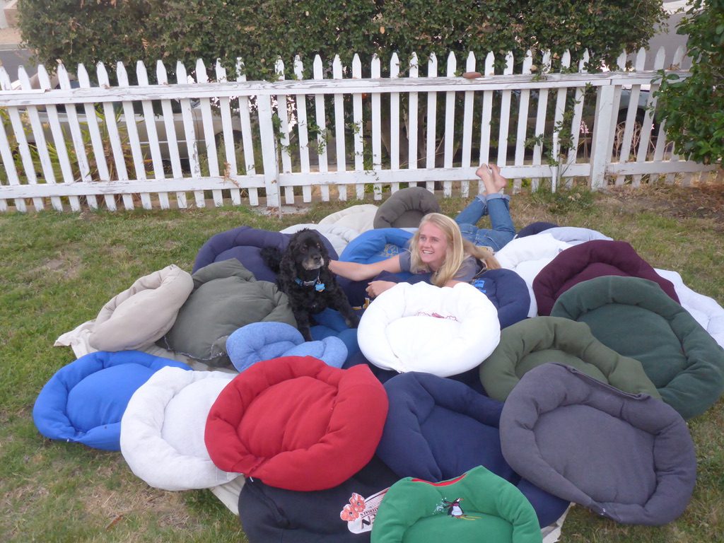 Girl Scout earns top award by making pet beds