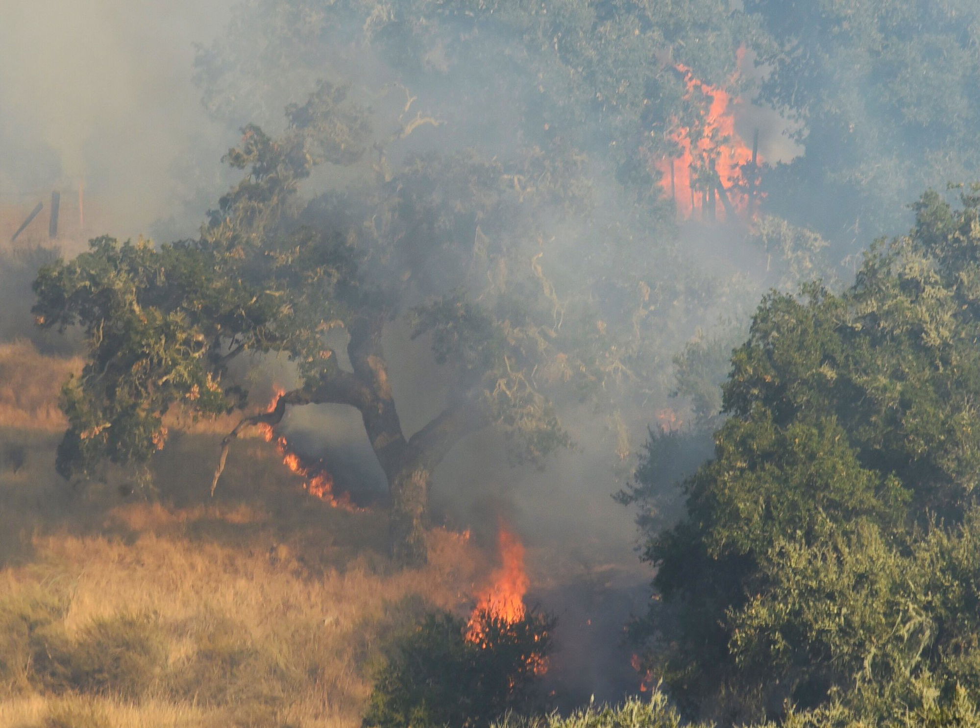 McMurray Fire holding at 200 acres, 40 percent contained as of Tuesday evening