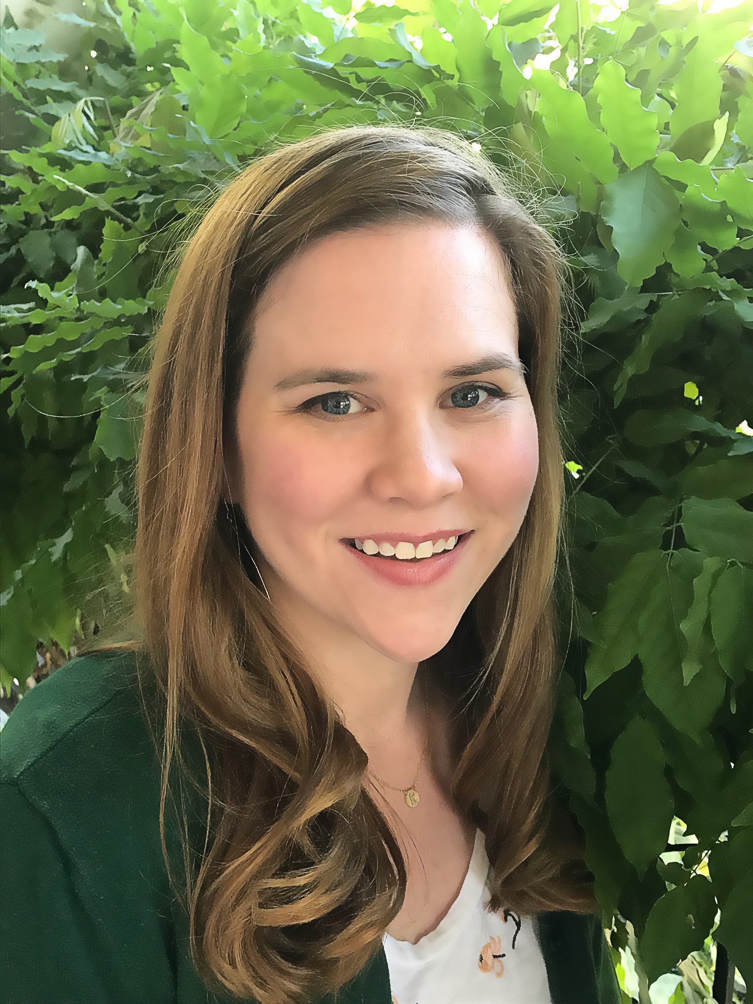 Solvang hires public relations consultant