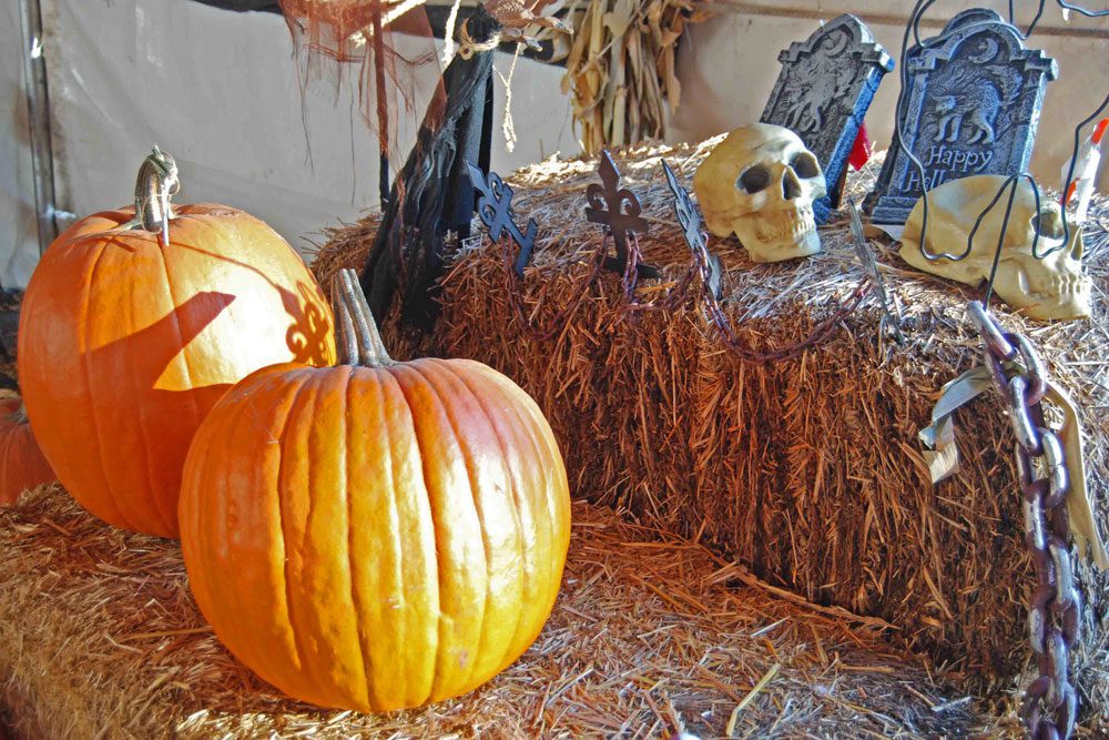 Halloween traditions rooted in Celtic, Irish cultures