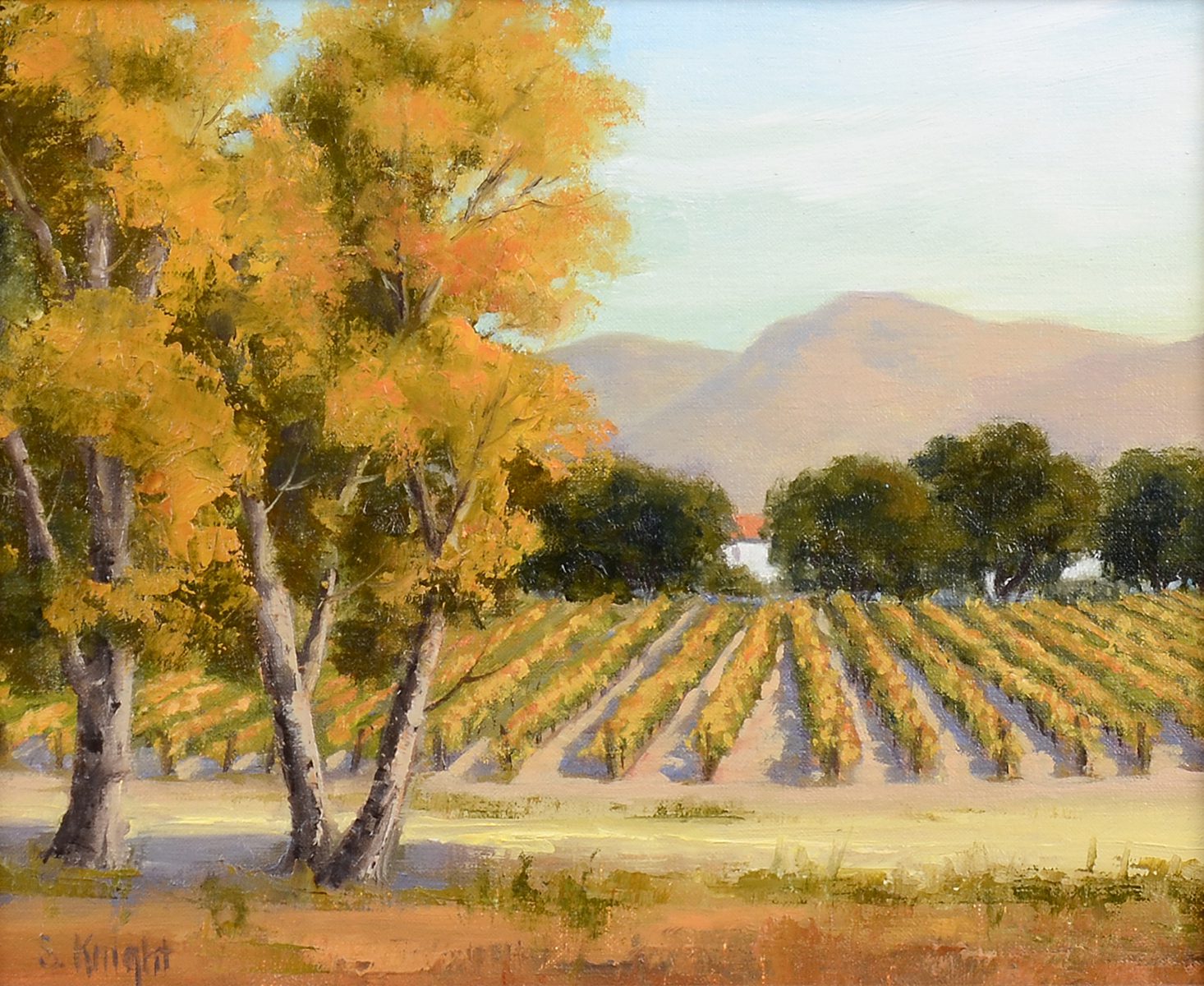 Holiday History: Autumn equinox happens at the same moment worldwide