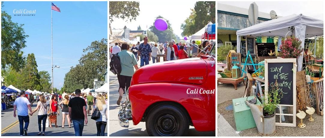 NatureTrack is new sponsor of Day in Country fun runs