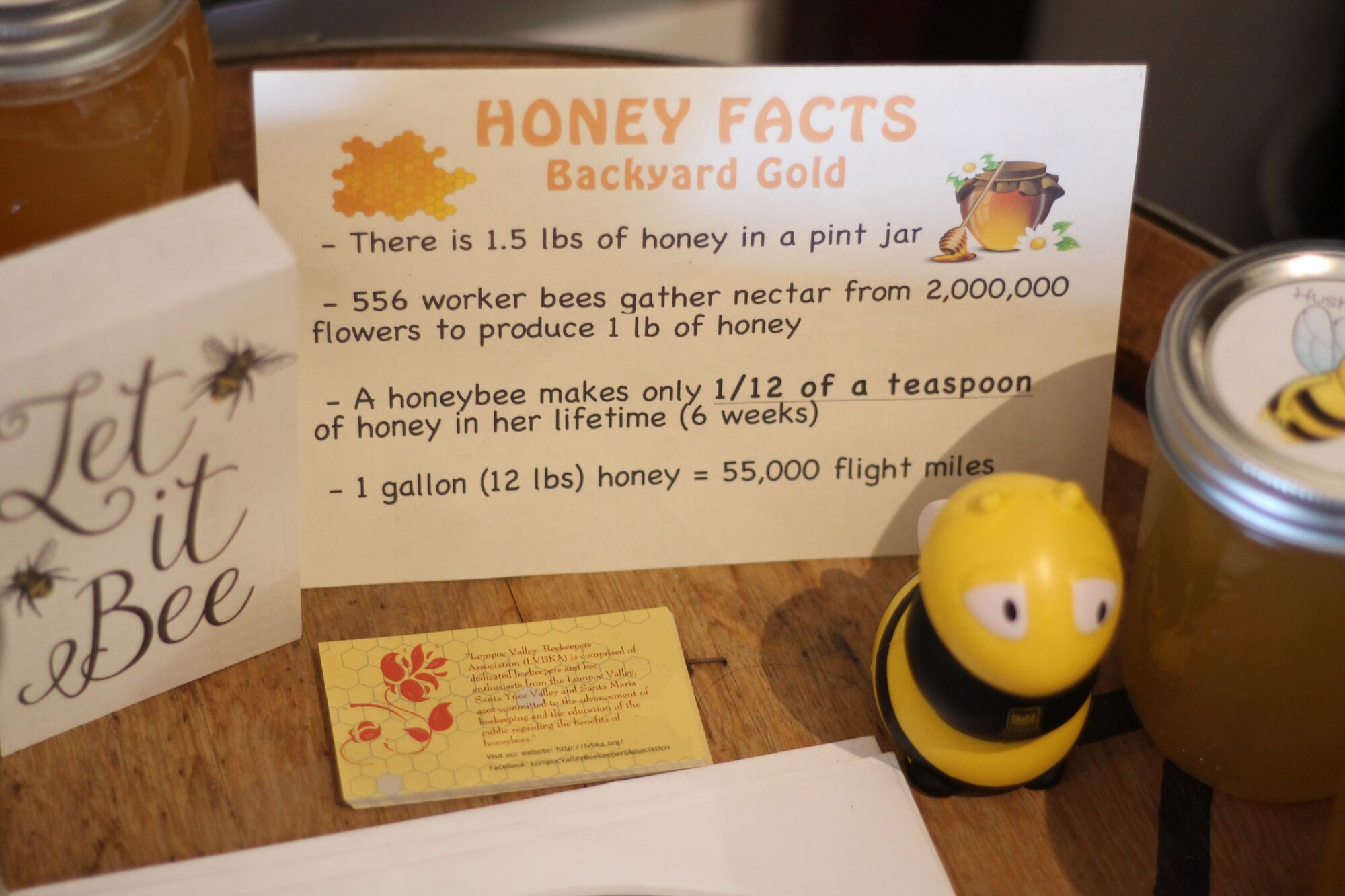 Beekeepers rescue swarms, want to educate public