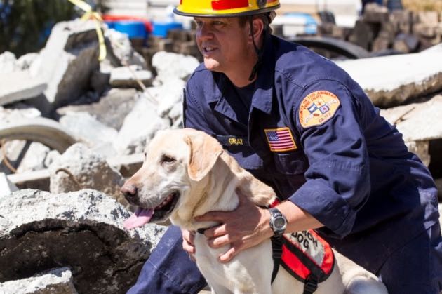 Fire Department K-9 retires after high-profile career