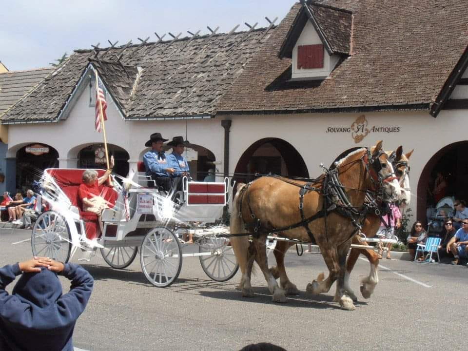 Solvang council continues to struggle with open meetings law