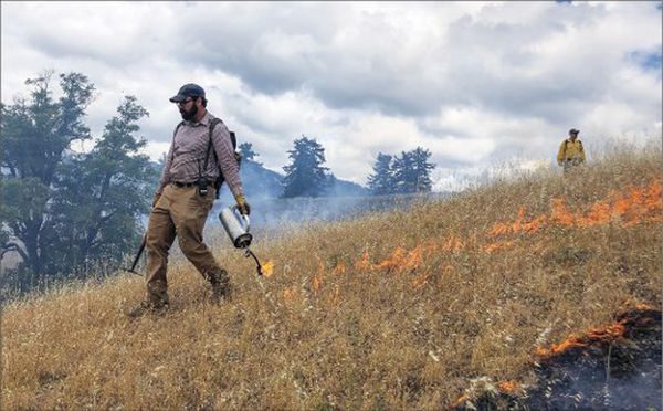 SBC Fire to conduct prescribed burns near Midland School Dec. 7
