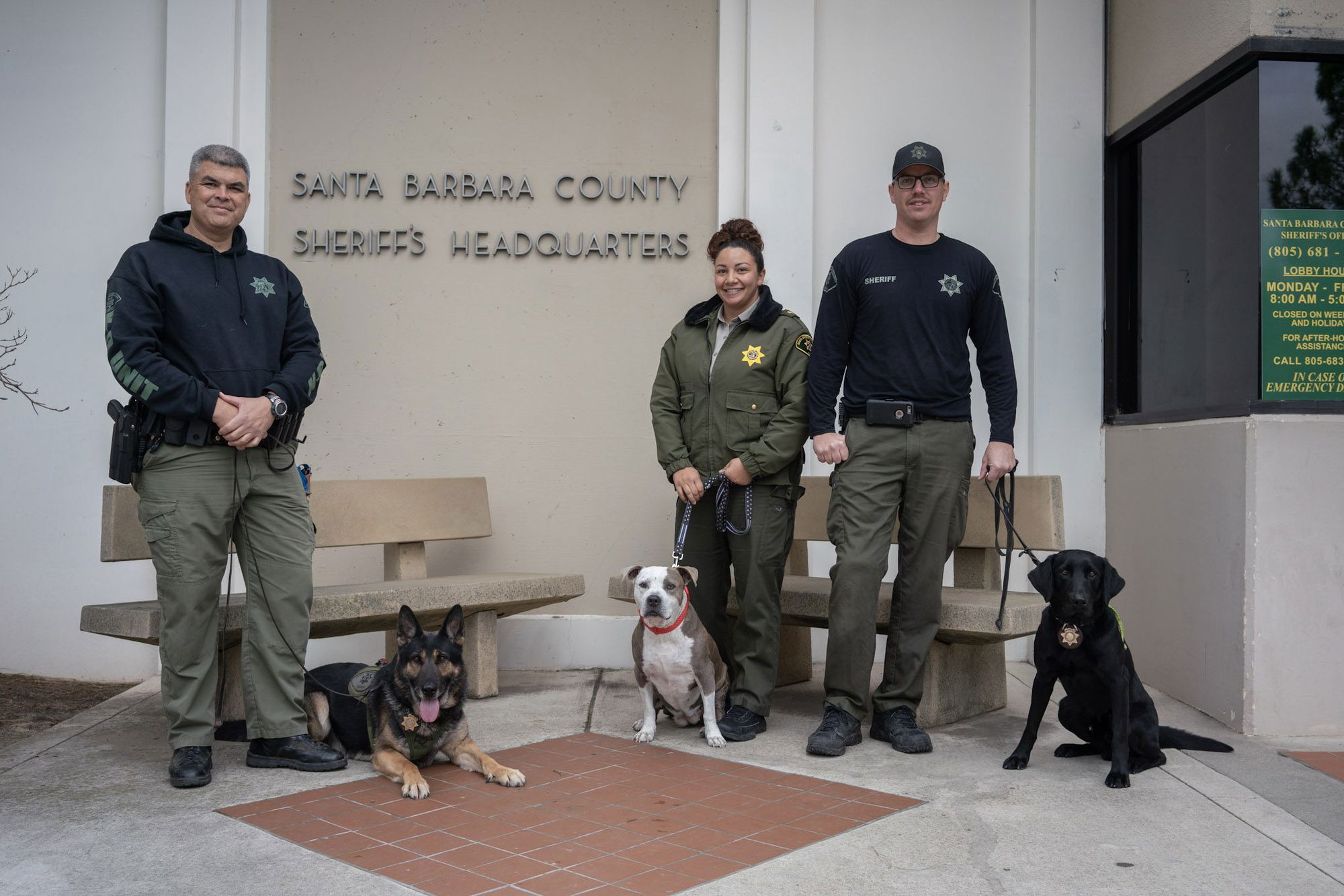 Sheriff’s Office celebrates two K9s’ milestones