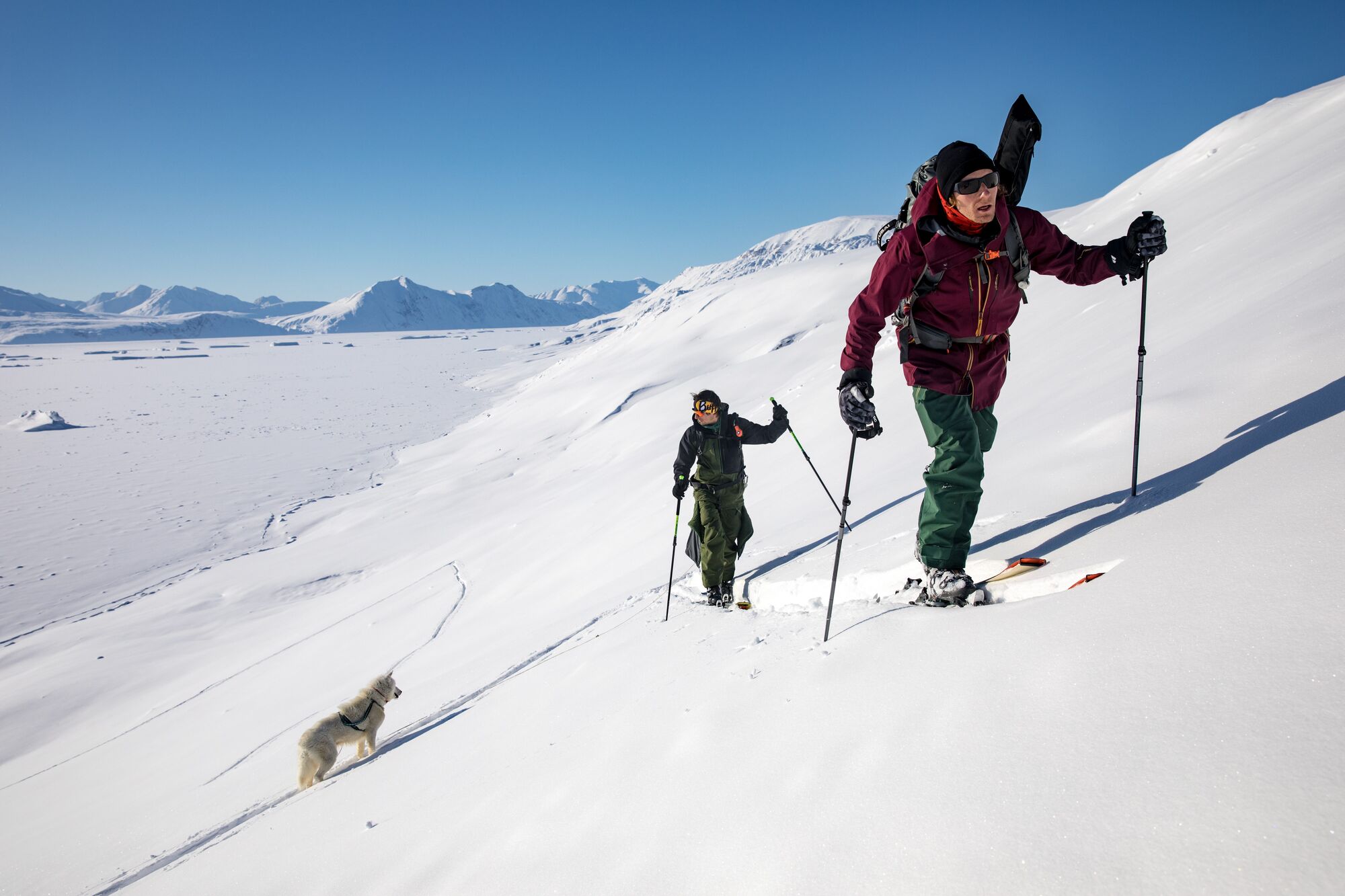Films chosen for 2020 NatureTrack Film Festival